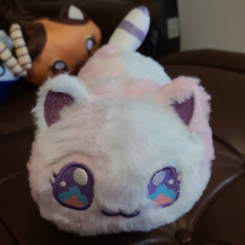 Apushmeu fluffy cat